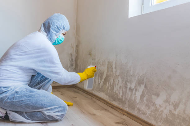 Mold inspector in Fleming Island performing thermal imaging