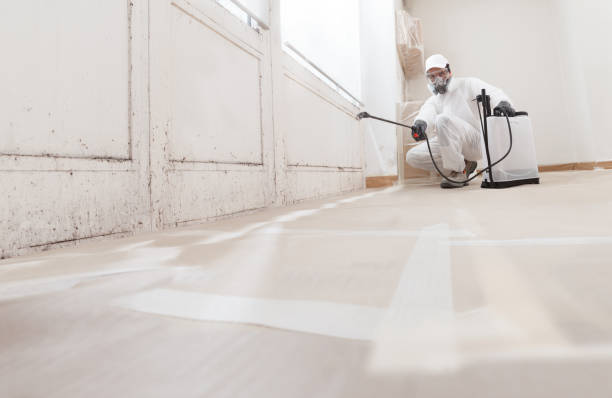 Black mold remediation team in Fleming Island